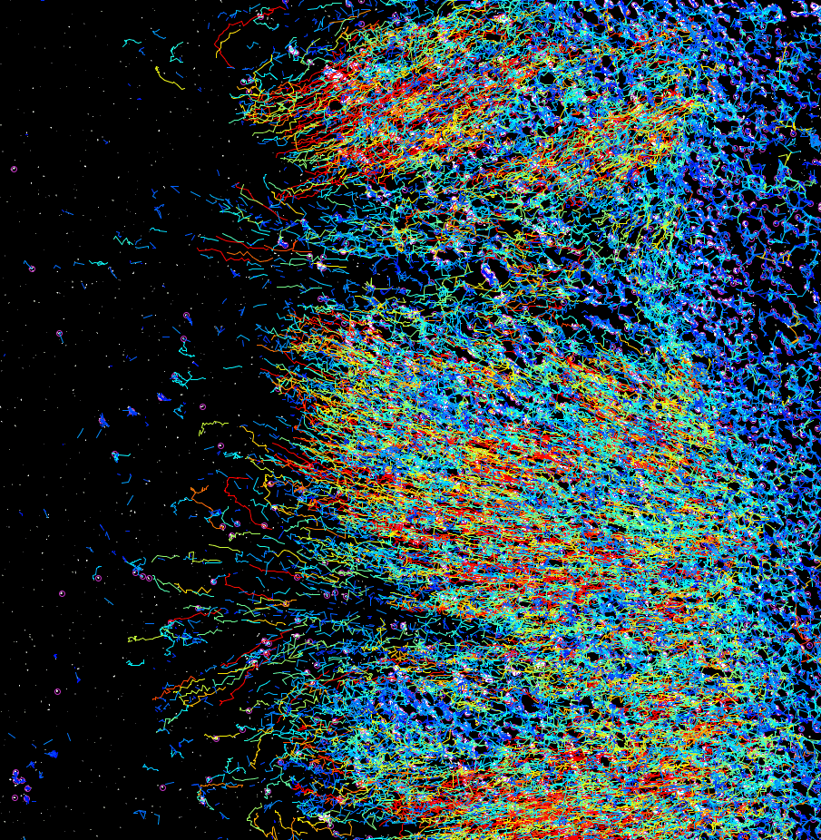 Particle tracking analysis of triggered microgel paste dissolution.