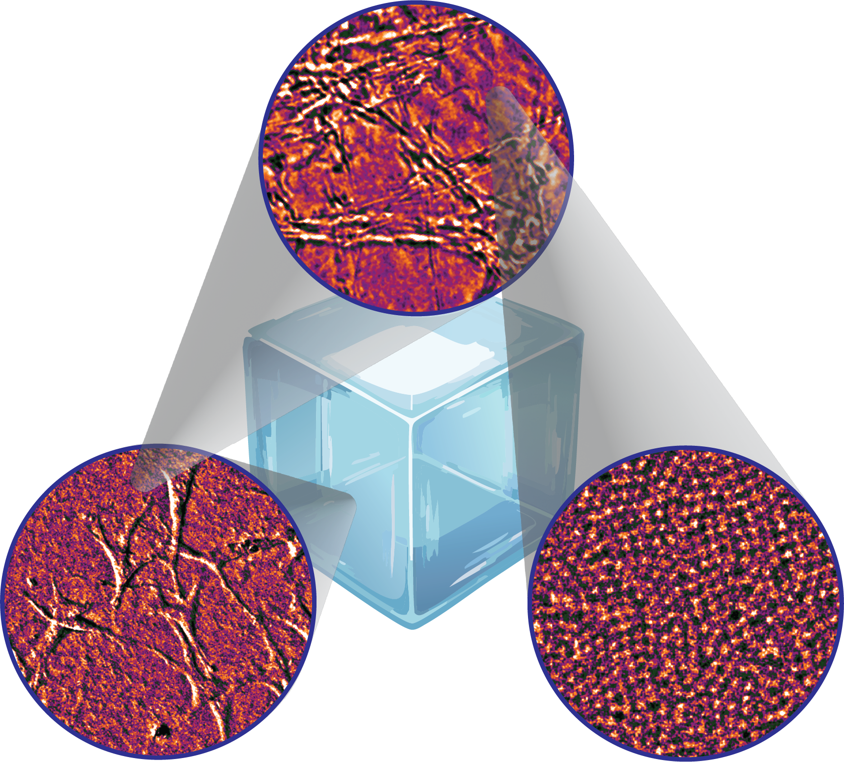 12/25: New paper published in Advanced Materials! In the manuscript "Dynamic, Reconfigurable, and Hierarchical Biosynthetic Composites via Collagen Self-Assembly within Highly Crowded Microgel Pastes", we describe new materials that recapitulate some unique aspects of extracellular matrix. Our lab is actively exploring these structures as a possible new platform for tissue engineering.